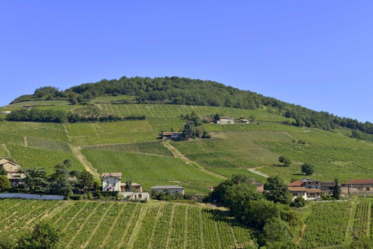 Appartement Cosy Au Coeur Du Beaujolais Saint-Lager Kültér fotó