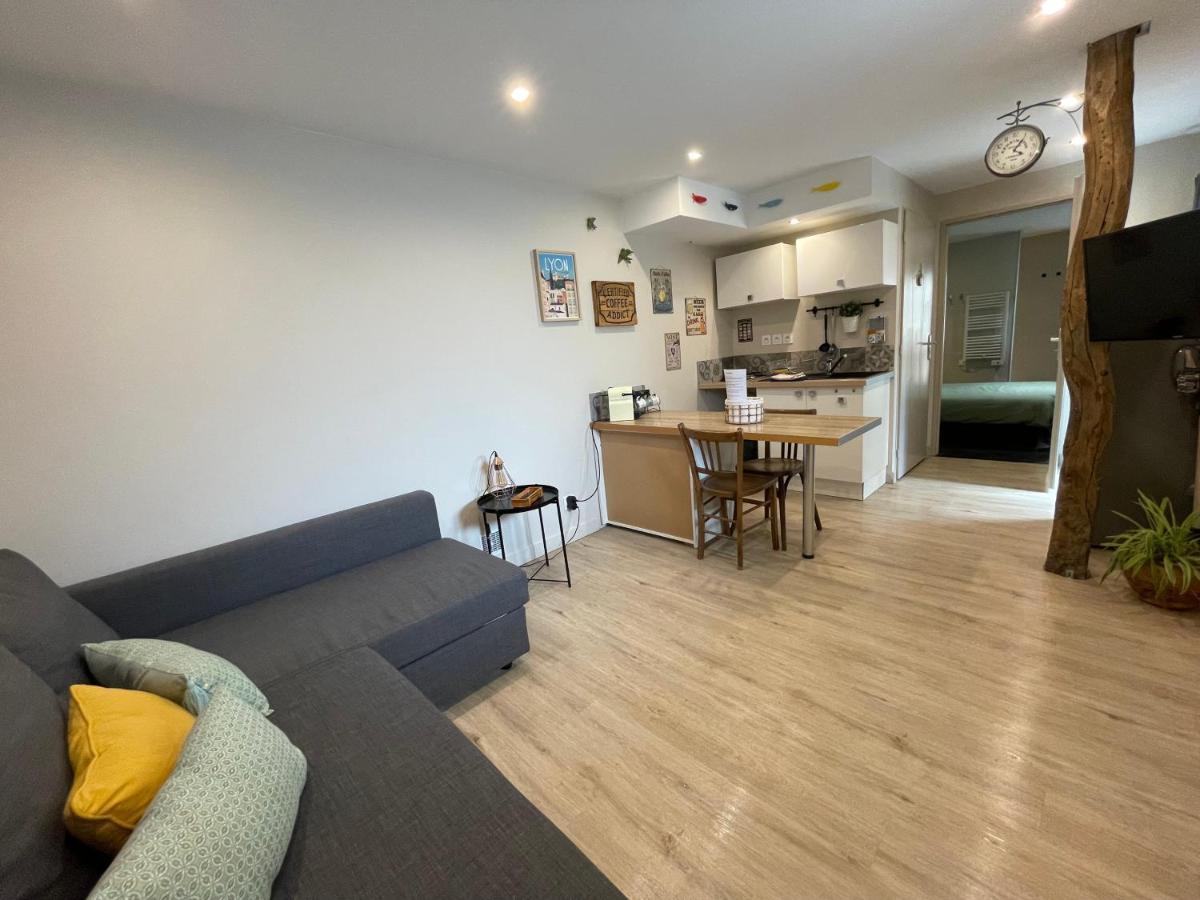 Appartement Cosy Au Coeur Du Beaujolais Saint-Lager Kültér fotó